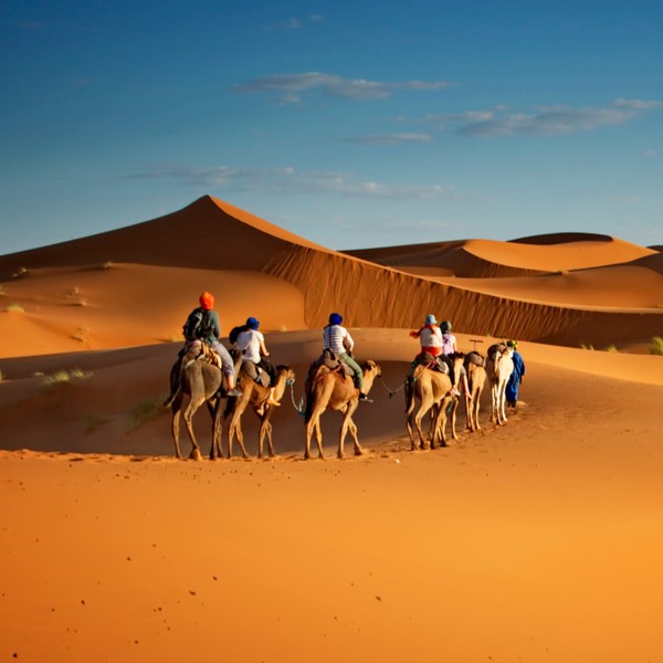 Inbound Tour Operator - Home